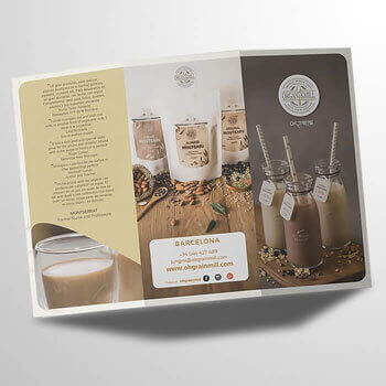 Business Flyer & Brochure Designs